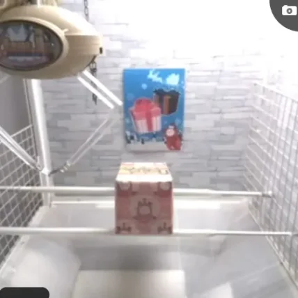 【橋渡し】強力なアームパワーが魅力！