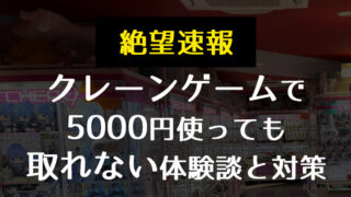 【絶望】クレーンゲームに5000円使っても取れない体験談と対策【収穫なし】