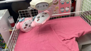 『ちいかわ』をクレーンゲームでゲットするコツ・取り方！「UFOキャッチャー」