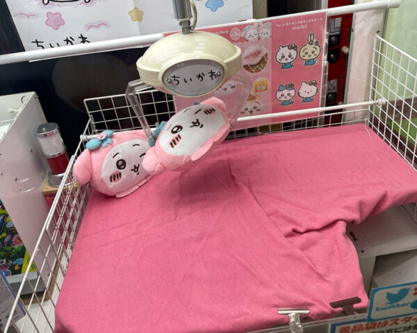 爪を景品の下に入れて抱きかかえるように狙ってる写真