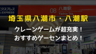 【全店舗掲載！】埼玉県八潮市近辺のおすすめゲーセン3選！クレーンゲームが取りやすいゲームセンターを遊んで検証！【埼玉県八潮駅・UFOキャッチャー】
