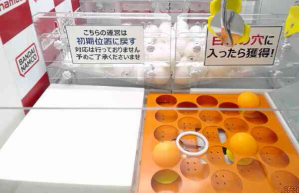 ナムクレたこやき