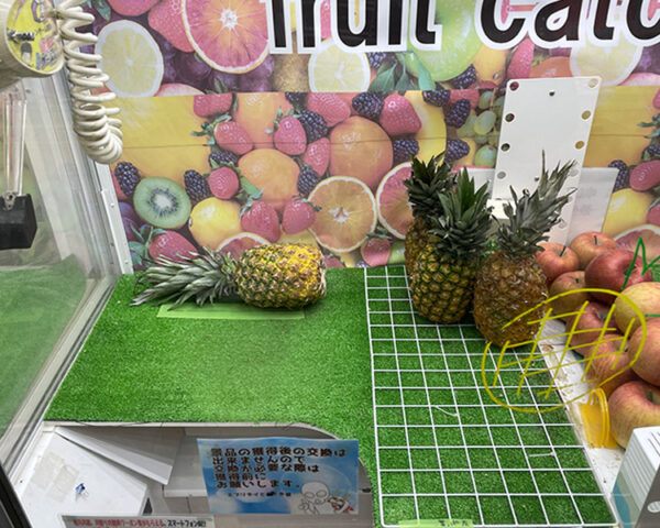 野菜キャッチャー2