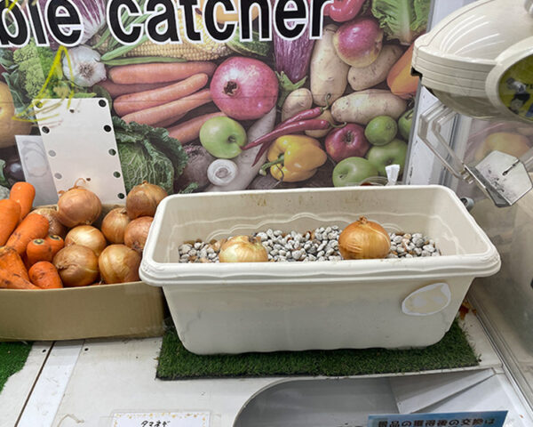野菜キャッチャー1