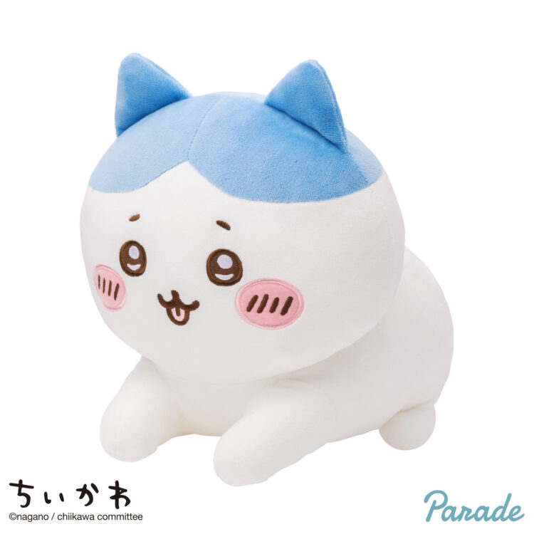 スフィンクスなハチワレ