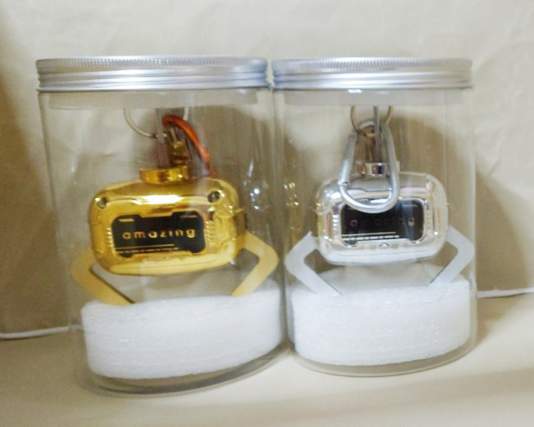 ディスプレイケースに入れる