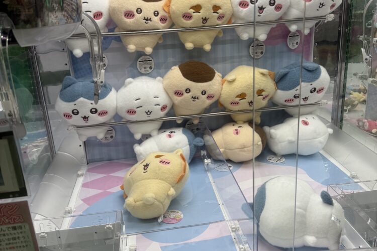 導入日チェック『ちいかわ』しーぷわぬいぐるみ①はゲームセンターでも再人気稼働中でした！