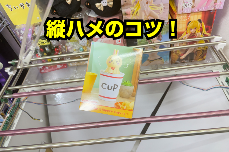 縦ハメ（もっとも簡単／初心者が最初に覚えるべき基本技）