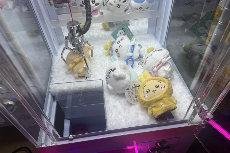 TIDE HOUSEは「家で本気で遊びたい人」にちょうどいいミニクレ